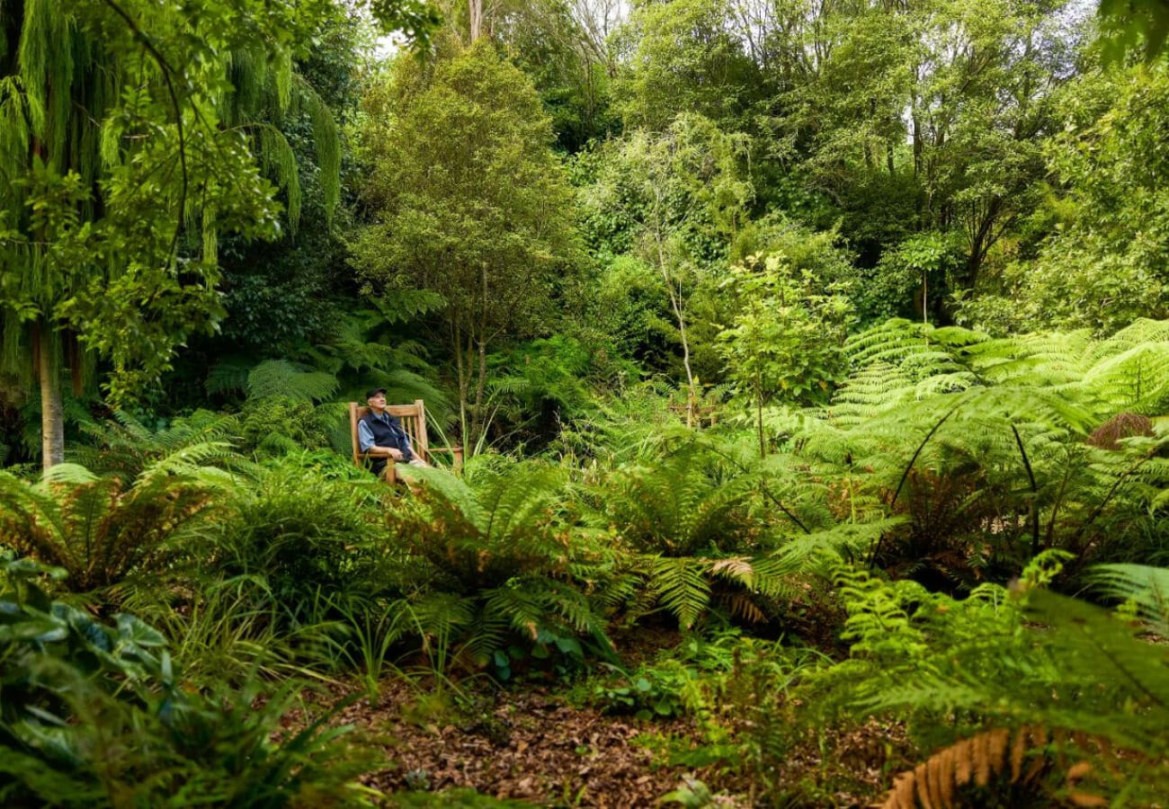 Glimpse of nature with mature trees, native plants and expansive bird life