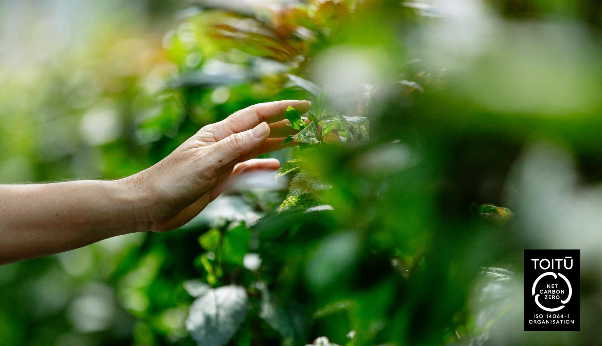 Image of nature and a hand wi8th a Toitu logo